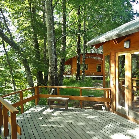 Patagonia Mawida Villa Neltume Dış mekan fotoğraf