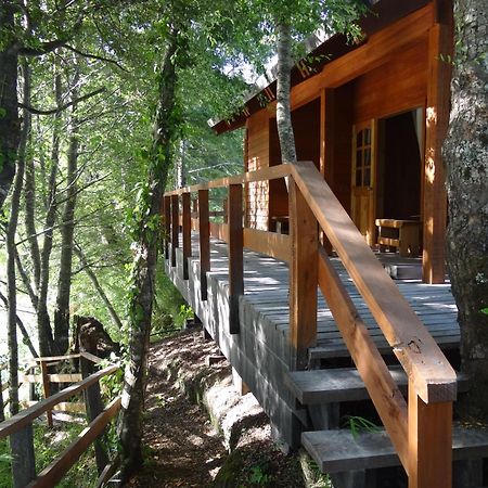 Patagonia Mawida Villa Neltume Dış mekan fotoğraf