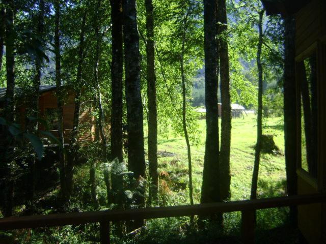 Patagonia Mawida Villa Neltume Dış mekan fotoğraf