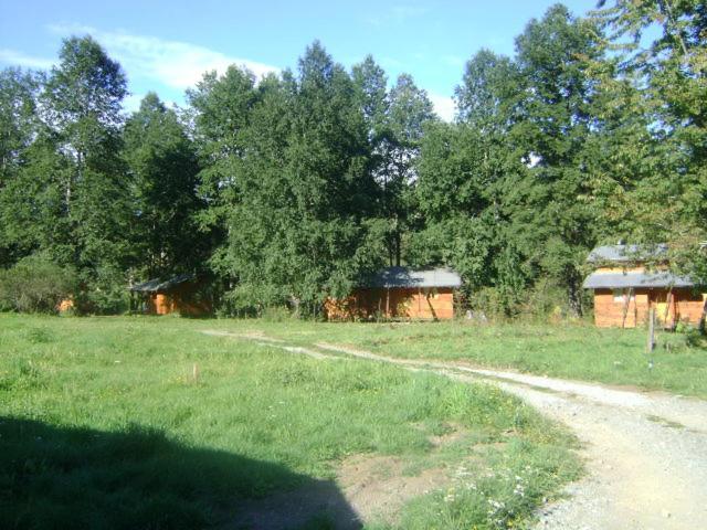 Patagonia Mawida Villa Neltume Dış mekan fotoğraf