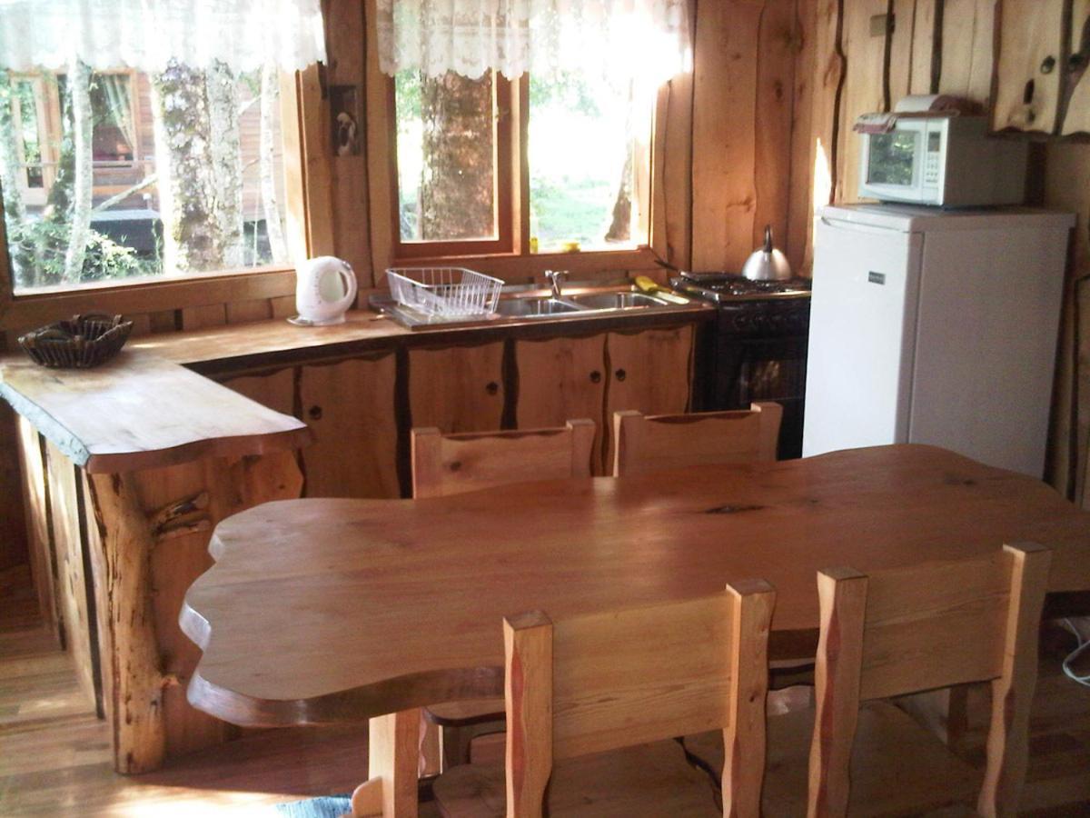 Patagonia Mawida Villa Neltume Oda fotoğraf