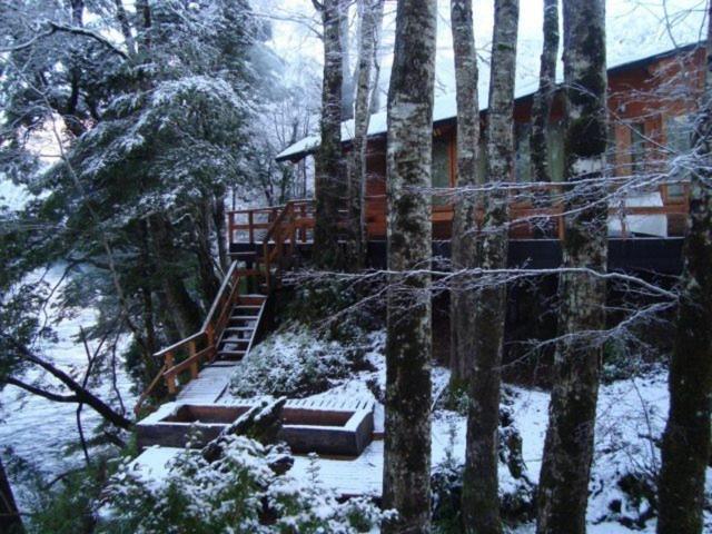 Patagonia Mawida Villa Neltume Dış mekan fotoğraf