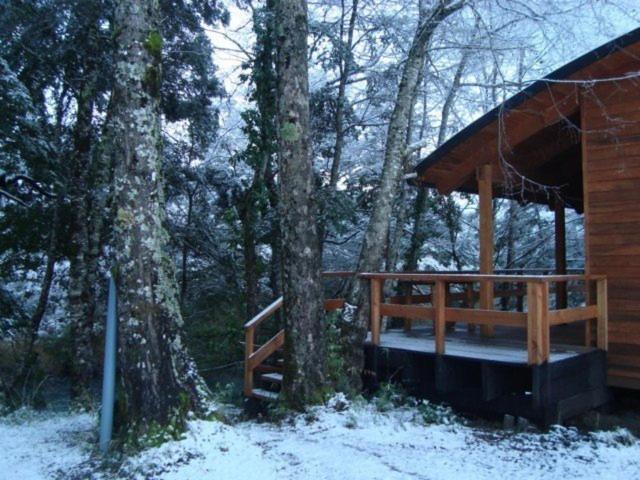 Patagonia Mawida Villa Neltume Dış mekan fotoğraf
