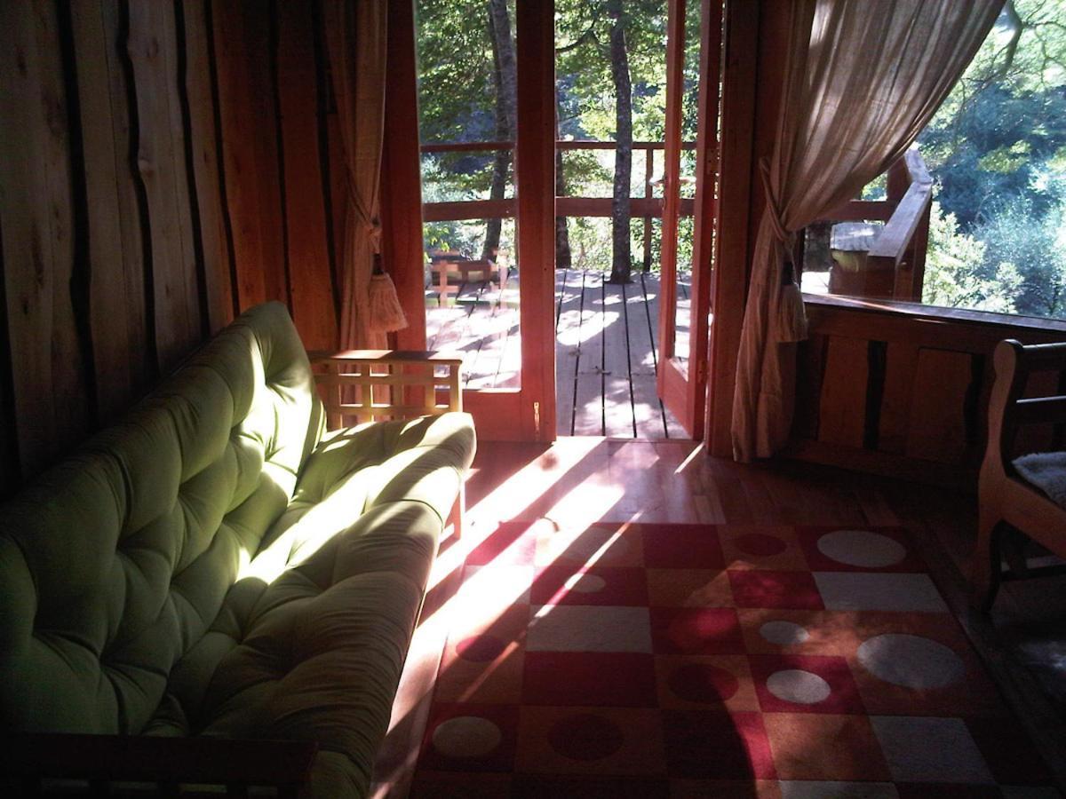 Patagonia Mawida Villa Neltume Dış mekan fotoğraf