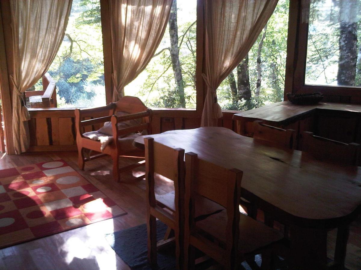 Patagonia Mawida Villa Neltume Dış mekan fotoğraf