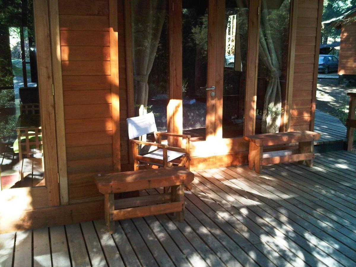 Patagonia Mawida Villa Neltume Dış mekan fotoğraf