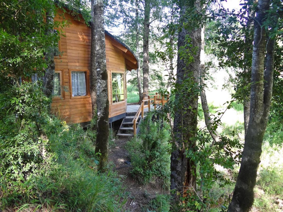 Patagonia Mawida Villa Neltume Dış mekan fotoğraf