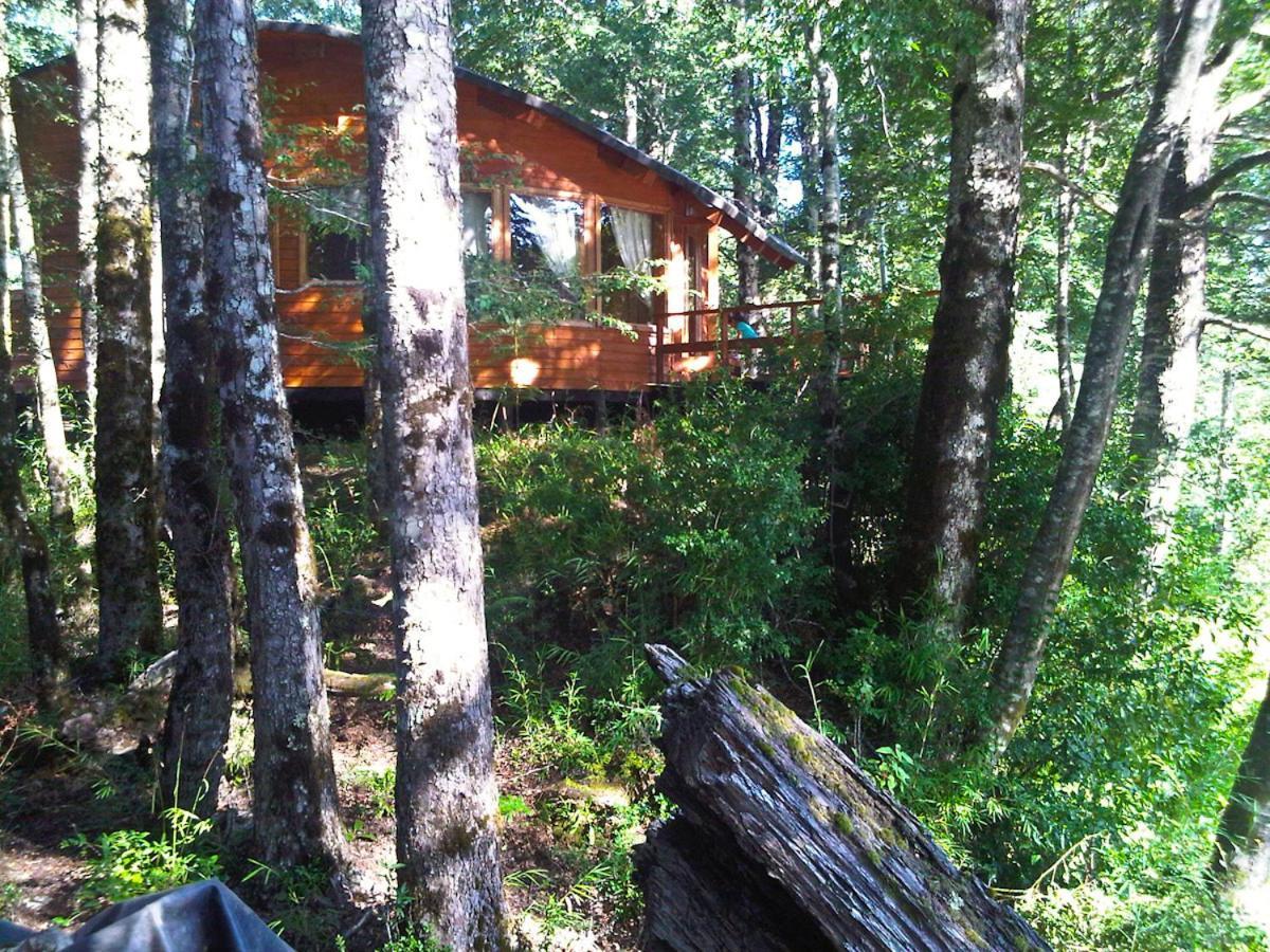 Patagonia Mawida Villa Neltume Dış mekan fotoğraf