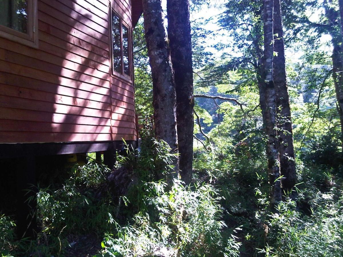 Patagonia Mawida Villa Neltume Dış mekan fotoğraf