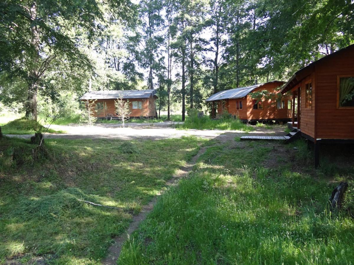 Patagonia Mawida Villa Neltume Dış mekan fotoğraf