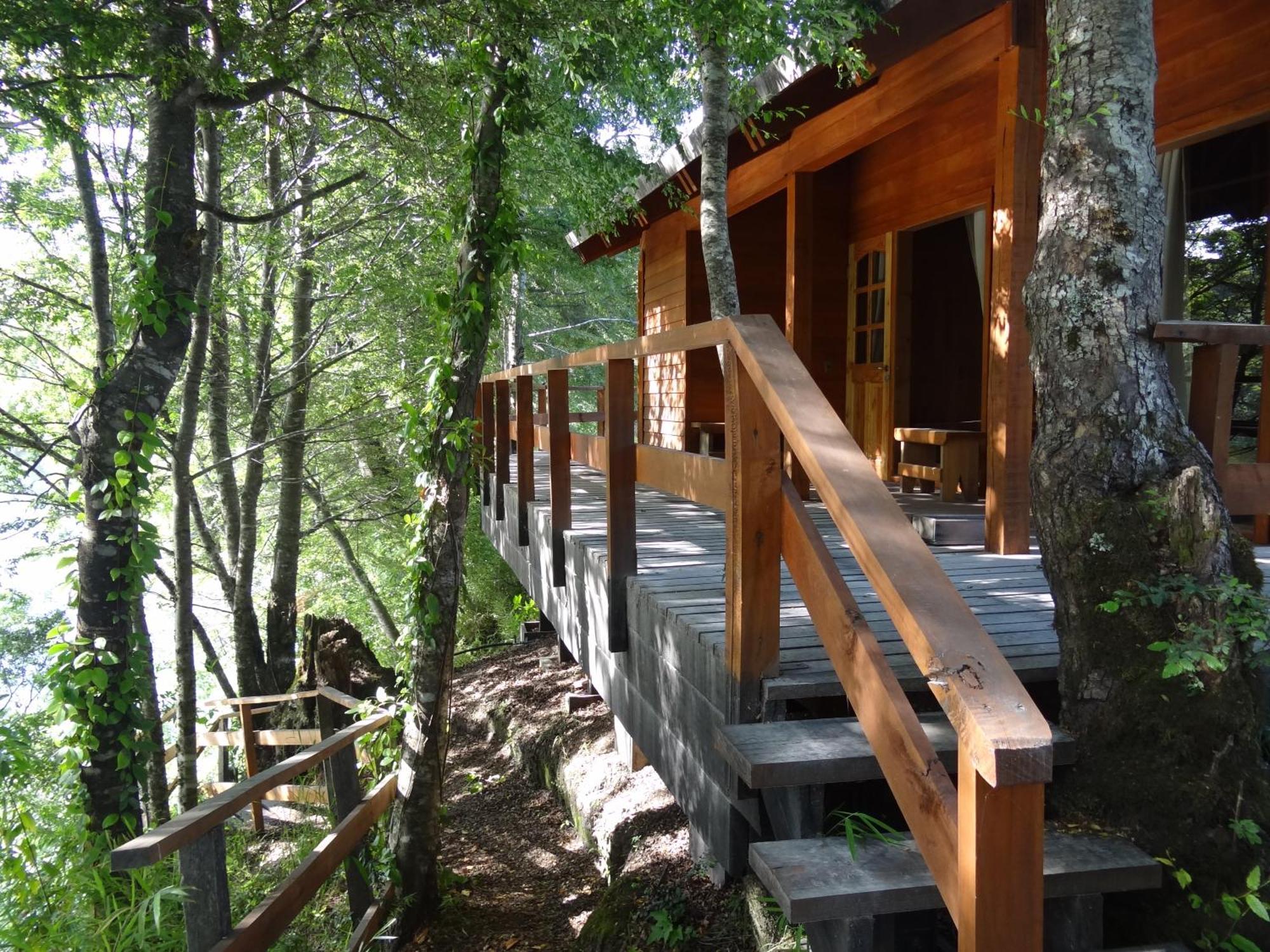 Patagonia Mawida Villa Neltume Dış mekan fotoğraf